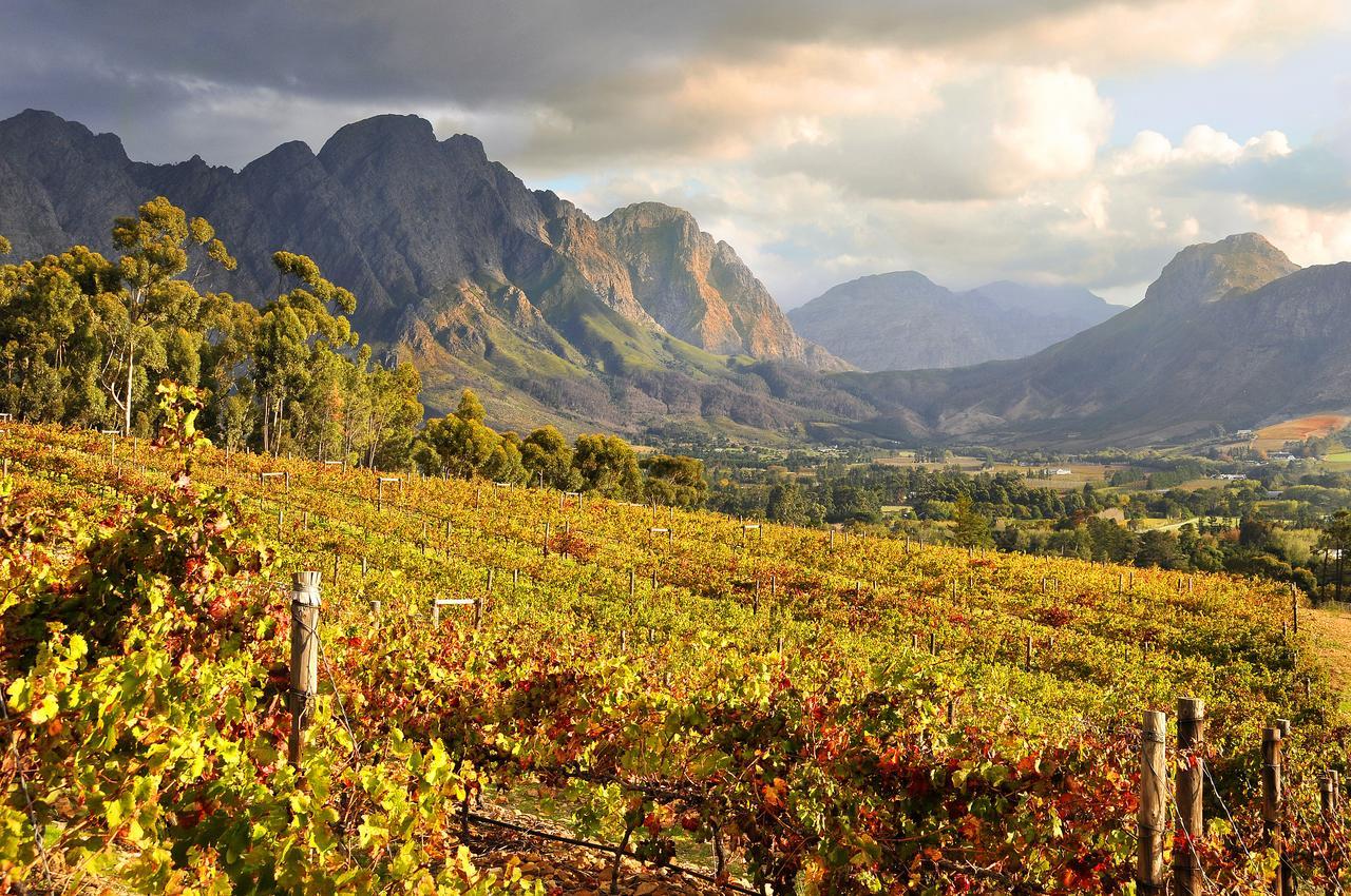La Petite Ferme Hotel Franschhoek Ngoại thất bức ảnh